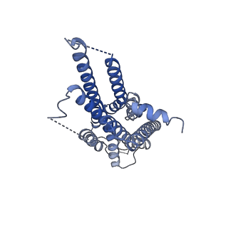 22872_7kh0_R_v1-2
Cryo-EM structure of the human arginine vasopressin AVP-vasopressin receptor V2R-Gs signaling complex