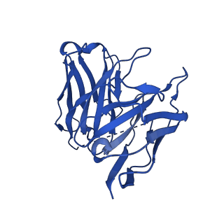 22872_7kh0_S_v1-2
Cryo-EM structure of the human arginine vasopressin AVP-vasopressin receptor V2R-Gs signaling complex