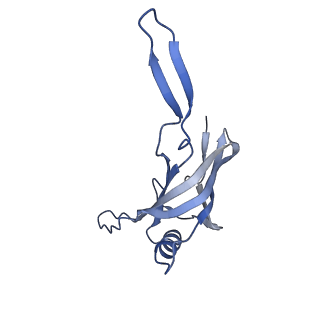 22873_7kh1_A1_v1-1
Baseplate Complex for Myoviridae Phage XM1