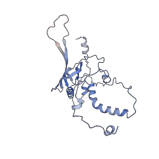 22873_7kh1_A3_v1-1
Baseplate Complex for Myoviridae Phage XM1