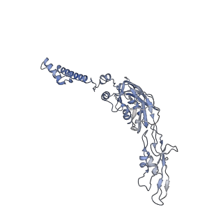 22873_7kh1_A5_v1-1
Baseplate Complex for Myoviridae Phage XM1