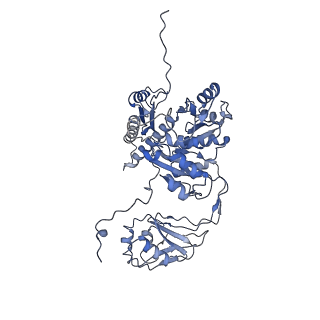 22873_7kh1_A6_v1-1
Baseplate Complex for Myoviridae Phage XM1