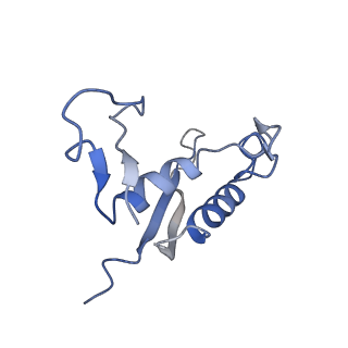 22873_7kh1_B7_v1-1
Baseplate Complex for Myoviridae Phage XM1