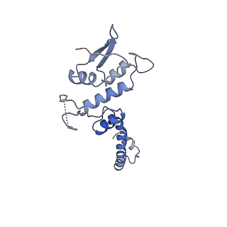 22873_7kh1_C2_v1-1
Baseplate Complex for Myoviridae Phage XM1
