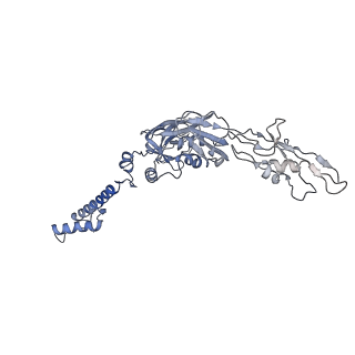 22873_7kh1_C5_v1-1
Baseplate Complex for Myoviridae Phage XM1