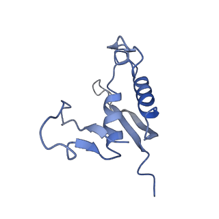 22873_7kh1_C7_v1-1
Baseplate Complex for Myoviridae Phage XM1