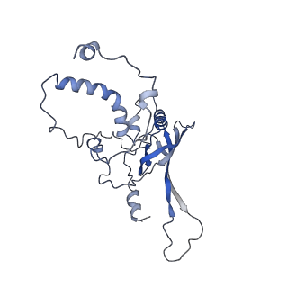 22873_7kh1_D3_v1-1
Baseplate Complex for Myoviridae Phage XM1