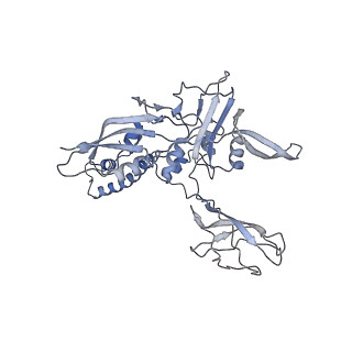 22873_7kh1_D5_v1-1
Baseplate Complex for Myoviridae Phage XM1