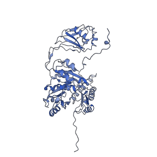 22873_7kh1_D6_v1-1
Baseplate Complex for Myoviridae Phage XM1