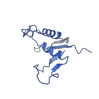 22873_7kh1_D7_v1-1
Baseplate Complex for Myoviridae Phage XM1