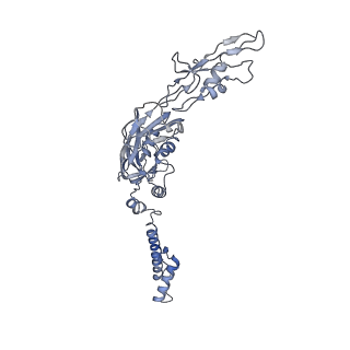 22873_7kh1_E5_v1-1
Baseplate Complex for Myoviridae Phage XM1