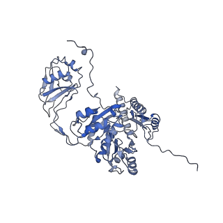 22873_7kh1_E6_v1-1
Baseplate Complex for Myoviridae Phage XM1