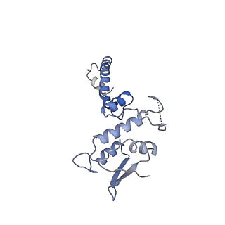 22873_7kh1_F2_v1-1
Baseplate Complex for Myoviridae Phage XM1