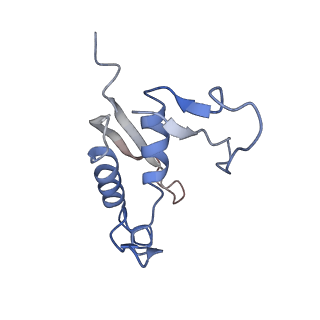 22873_7kh1_F7_v1-1
Baseplate Complex for Myoviridae Phage XM1