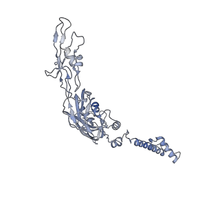 22873_7kh1_G5_v1-1
Baseplate Complex for Myoviridae Phage XM1