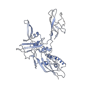 22873_7kh1_H5_v1-1
Baseplate Complex for Myoviridae Phage XM1