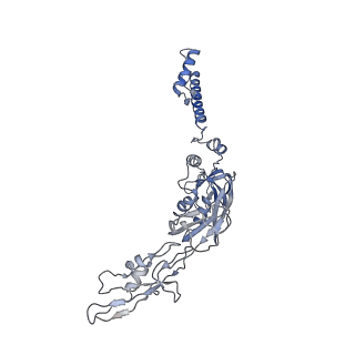 22873_7kh1_K5_v1-1
Baseplate Complex for Myoviridae Phage XM1