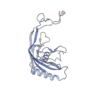 22876_7kha_A_v1-1
Cryo-EM Structure of the Desulfovibrio vulgaris Type I-C Apo Cascade