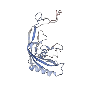 22876_7kha_A_v1-2
Cryo-EM Structure of the Desulfovibrio vulgaris Type I-C Apo Cascade