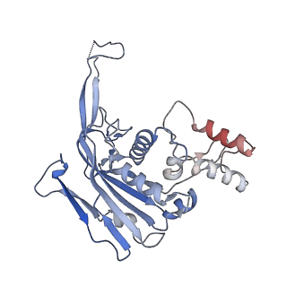 22876_7kha_B_v1-1
Cryo-EM Structure of the Desulfovibrio vulgaris Type I-C Apo Cascade