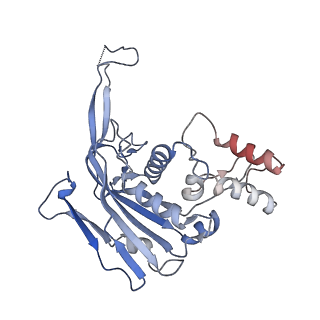 22876_7kha_B_v1-2
Cryo-EM Structure of the Desulfovibrio vulgaris Type I-C Apo Cascade