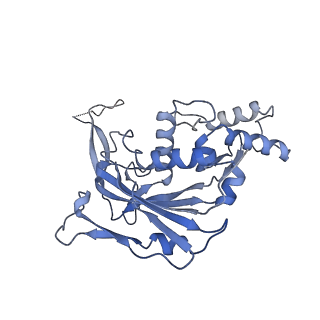 22876_7kha_C_v1-1
Cryo-EM Structure of the Desulfovibrio vulgaris Type I-C Apo Cascade
