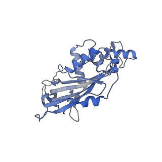 22876_7kha_D_v1-2
Cryo-EM Structure of the Desulfovibrio vulgaris Type I-C Apo Cascade