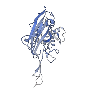 22876_7kha_F_v1-2
Cryo-EM Structure of the Desulfovibrio vulgaris Type I-C Apo Cascade