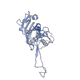 22876_7kha_G_v1-1
Cryo-EM Structure of the Desulfovibrio vulgaris Type I-C Apo Cascade