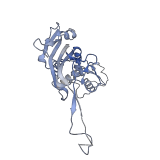 22876_7kha_G_v1-2
Cryo-EM Structure of the Desulfovibrio vulgaris Type I-C Apo Cascade