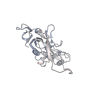 22876_7kha_H_v1-1
Cryo-EM Structure of the Desulfovibrio vulgaris Type I-C Apo Cascade