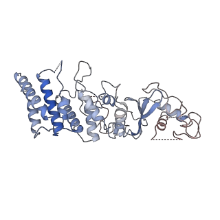 22876_7kha_I_v1-1
Cryo-EM Structure of the Desulfovibrio vulgaris Type I-C Apo Cascade