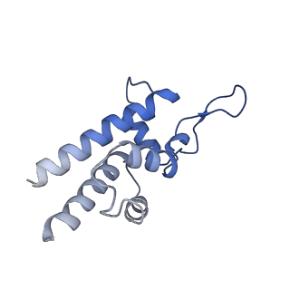 22879_7khf_D_v1-2
CryoEM structure of LILRB1 D3D4 domain-inserted antibody MDB1 Fab in complex with Plasmodium RIFIN (PF3D7_1373400) V2 domain