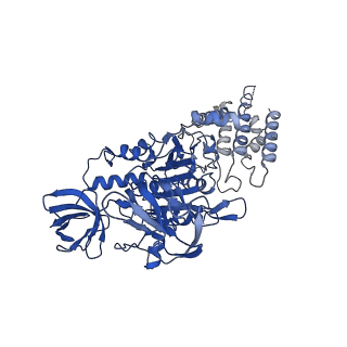 22880_7khr_A_v1-1
Cryo-EM structure of bafilomycin A1-bound intact V-ATPase from bovine brain