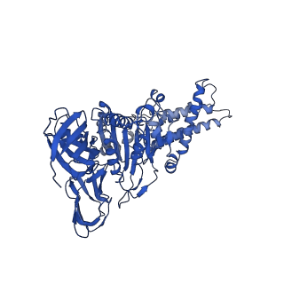 22880_7khr_B_v1-1
Cryo-EM structure of bafilomycin A1-bound intact V-ATPase from bovine brain
