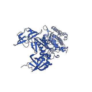 22880_7khr_C_v1-1
Cryo-EM structure of bafilomycin A1-bound intact V-ATPase from bovine brain