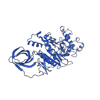 22880_7khr_D_v1-1
Cryo-EM structure of bafilomycin A1-bound intact V-ATPase from bovine brain