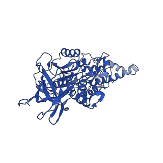 22880_7khr_E_v1-1
Cryo-EM structure of bafilomycin A1-bound intact V-ATPase from bovine brain