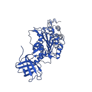 22880_7khr_F_v1-1
Cryo-EM structure of bafilomycin A1-bound intact V-ATPase from bovine brain