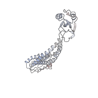 22880_7khr_G_v1-1
Cryo-EM structure of bafilomycin A1-bound intact V-ATPase from bovine brain