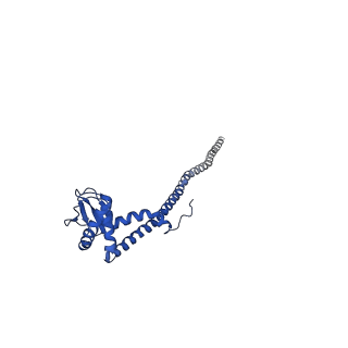 22880_7khr_J_v1-1
Cryo-EM structure of bafilomycin A1-bound intact V-ATPase from bovine brain
