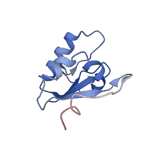 22880_7khr_L_v1-1
Cryo-EM structure of bafilomycin A1-bound intact V-ATPase from bovine brain