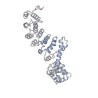 22880_7khr_P_v1-1
Cryo-EM structure of bafilomycin A1-bound intact V-ATPase from bovine brain