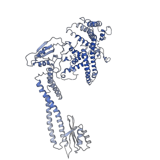 22880_7khr_a_v1-1
Cryo-EM structure of bafilomycin A1-bound intact V-ATPase from bovine brain