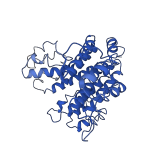 22880_7khr_d_v1-1
Cryo-EM structure of bafilomycin A1-bound intact V-ATPase from bovine brain