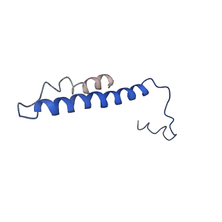 22880_7khr_e_v1-1
Cryo-EM structure of bafilomycin A1-bound intact V-ATPase from bovine brain