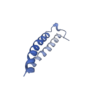 22880_7khr_f_v1-1
Cryo-EM structure of bafilomycin A1-bound intact V-ATPase from bovine brain