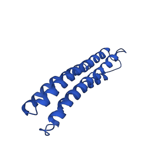 22880_7khr_l_v1-1
Cryo-EM structure of bafilomycin A1-bound intact V-ATPase from bovine brain