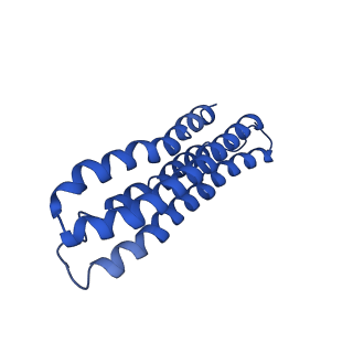 22880_7khr_n_v1-1
Cryo-EM structure of bafilomycin A1-bound intact V-ATPase from bovine brain