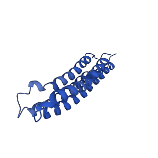 22880_7khr_p_v1-1
Cryo-EM structure of bafilomycin A1-bound intact V-ATPase from bovine brain
